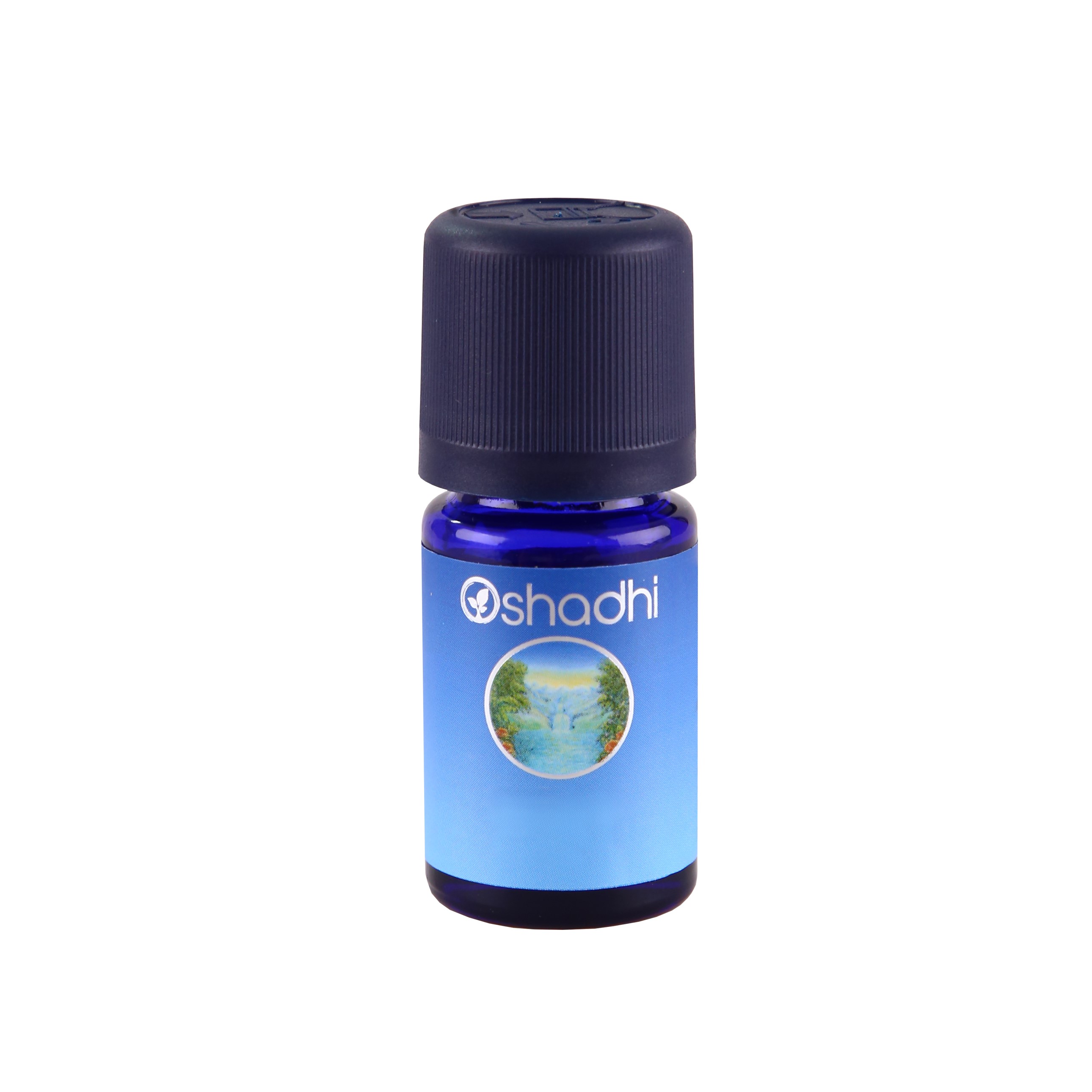 5ml.jpg